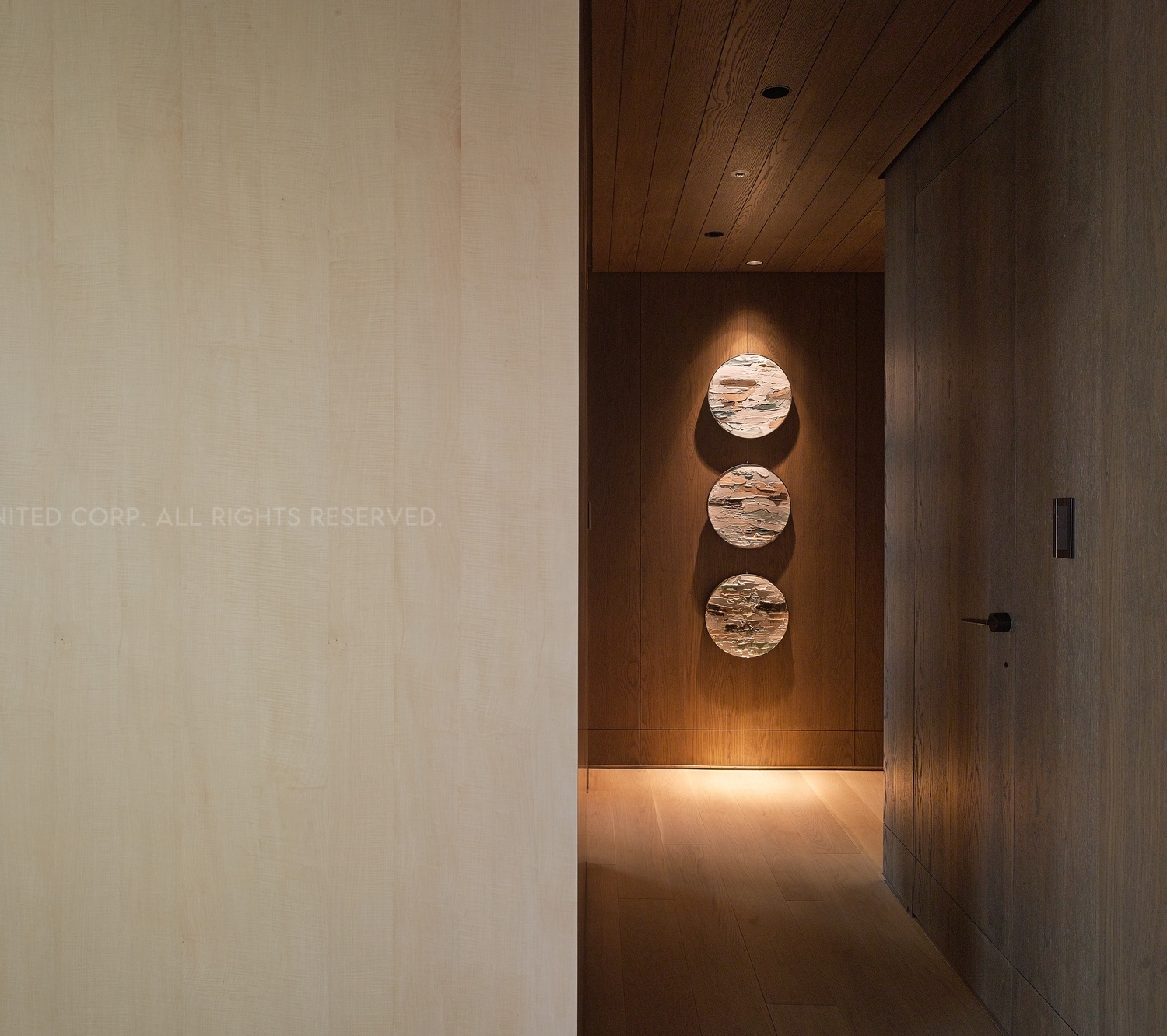 現代豪宅-有機、流動的空間